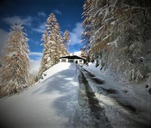 Apartment Gletscherbergblick Obergurgl Exteriör bild