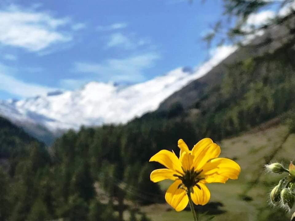 Apartment Gletscherbergblick Obergurgl Exteriör bild